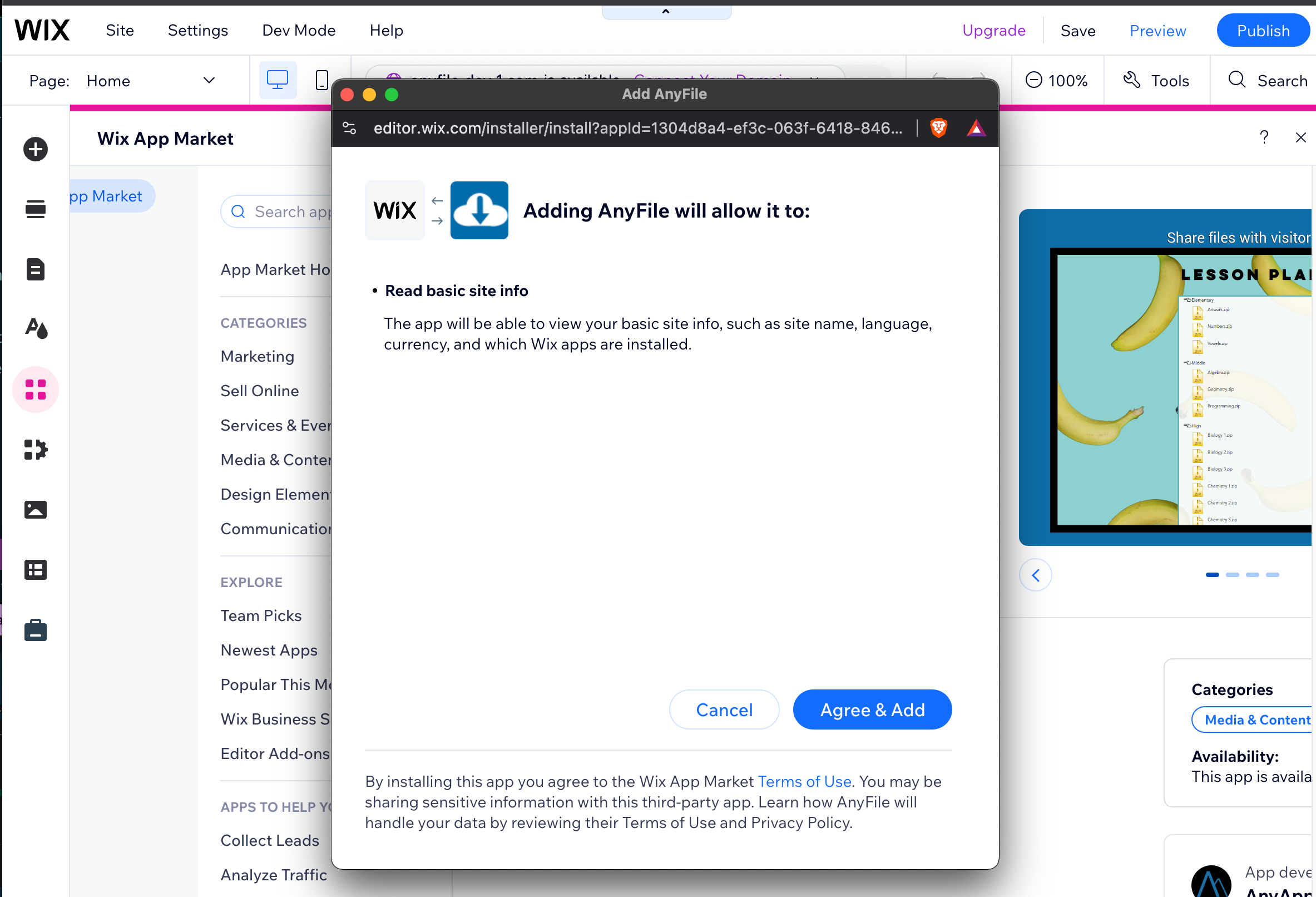 Accept the permissions AnyFile needs